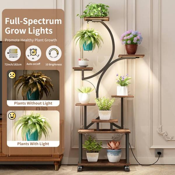 anthurium argyrostachyum Amazon Plants Peru