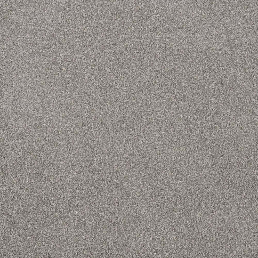 8 in. x 8 in. Texture Carpet Sample - First Class I -Color Barefoot price history on PriceWatchPro