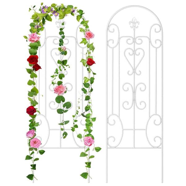 FAWEY TRED INC 60in Metal White Trellis Garden Trellis(2 Pack)