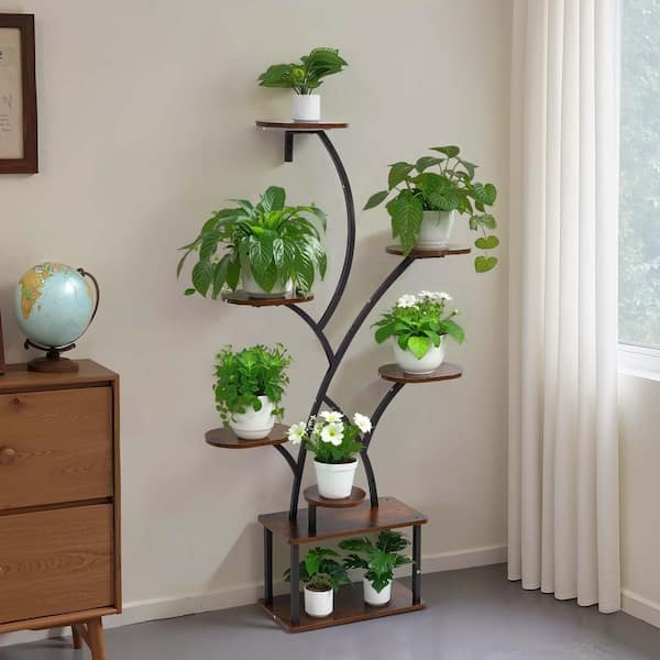 chinese rubber plant Ficus Elastica,Rubber Plant – Plant and People