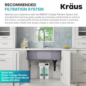 Bolden Single-Handle , Pull-Down Sprayer Kitchen Faucet Water Filtration System in Matte Black