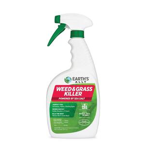 24 oz. Weed and Grass Killer Ready-To-Use