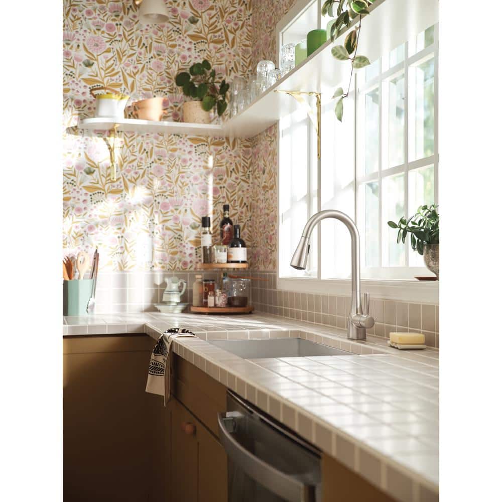 Stainless Steel Single Handle Pull-Down Kitchen Faucet