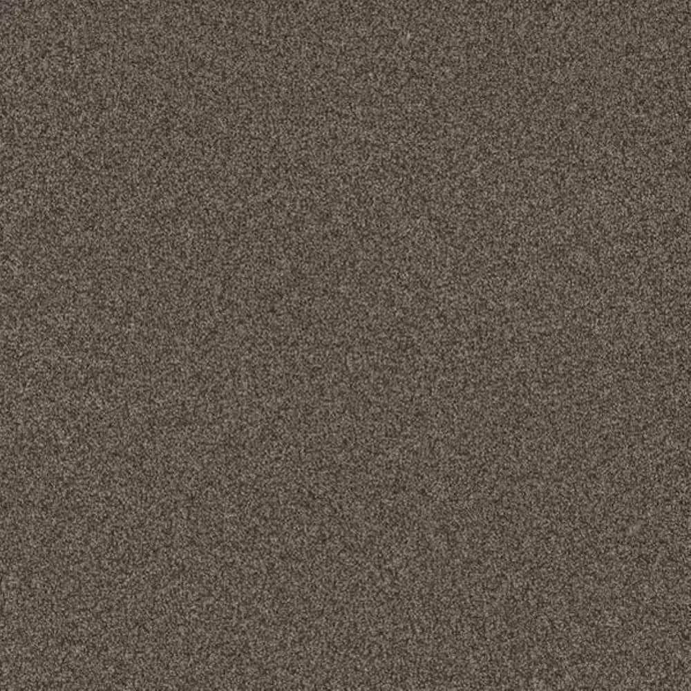 8 in. x 8 in. Texture Carpet Sample-Harpstring I-Color Path price history on PriceWatchPro