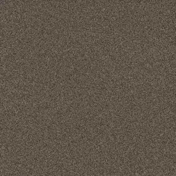 8 in. x 8 in. Texture Carpet Sample-Harpstring I-Color Path