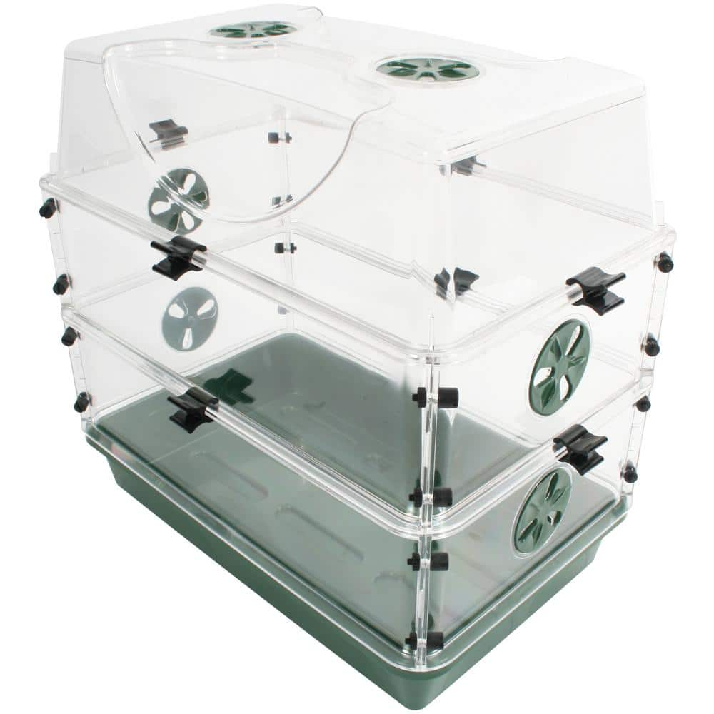 EarlyGrow Seed and Herb Domed Propagator with 2 Vented Side Height ...