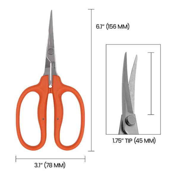 シーズラボ PROSHAPE Amazon.com: ZenToes Silicone Toe Spacers and Separators for