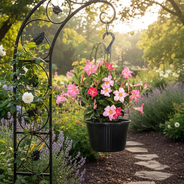 United Nursery Premium 10 in. Hanging Basket 20 in. to 22 in. Tall