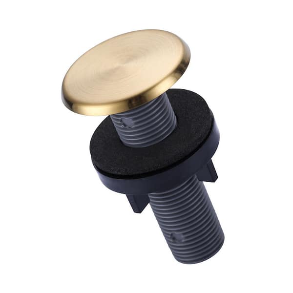 1.8 in. Kitchen Round Sink Hole Cover in Brushed Gold