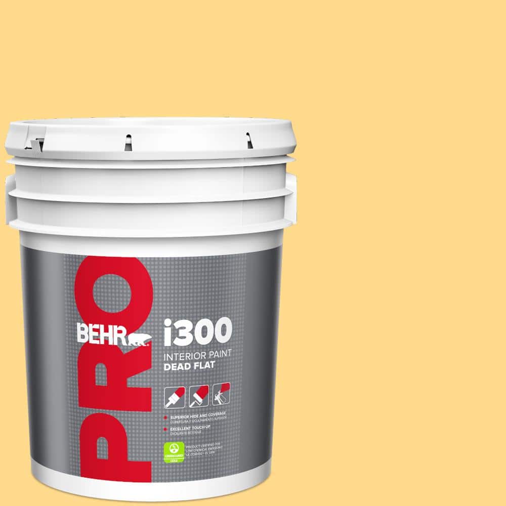 5 gal. #P270-4 Egg Cream Dead Flat Interior Paint price history on PriceWatchPro