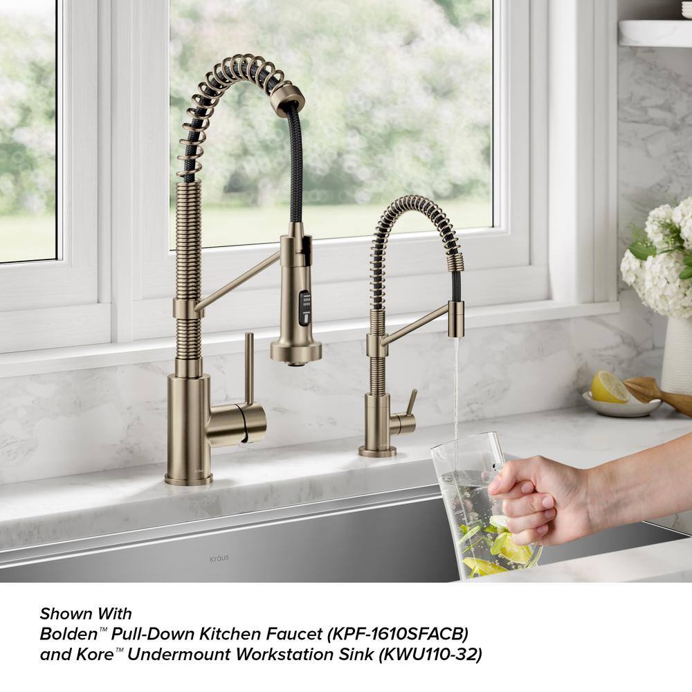 Bolden Antique Bronze Single Handle Filter Faucet with Pull-out Spray