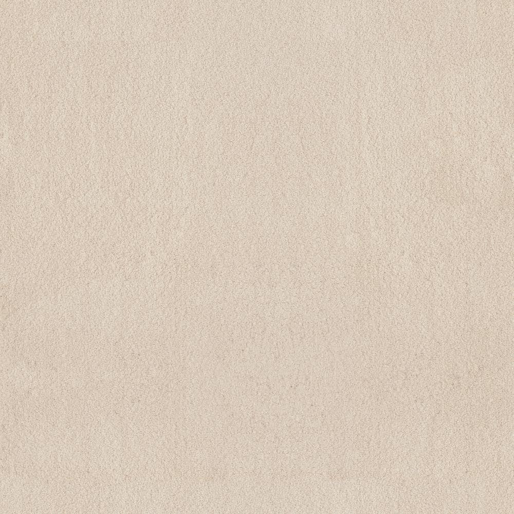 8 in. x 8 in. Texture Carpet Sample - Dreamy Daze II -Color Finch price history on PriceWatchPro