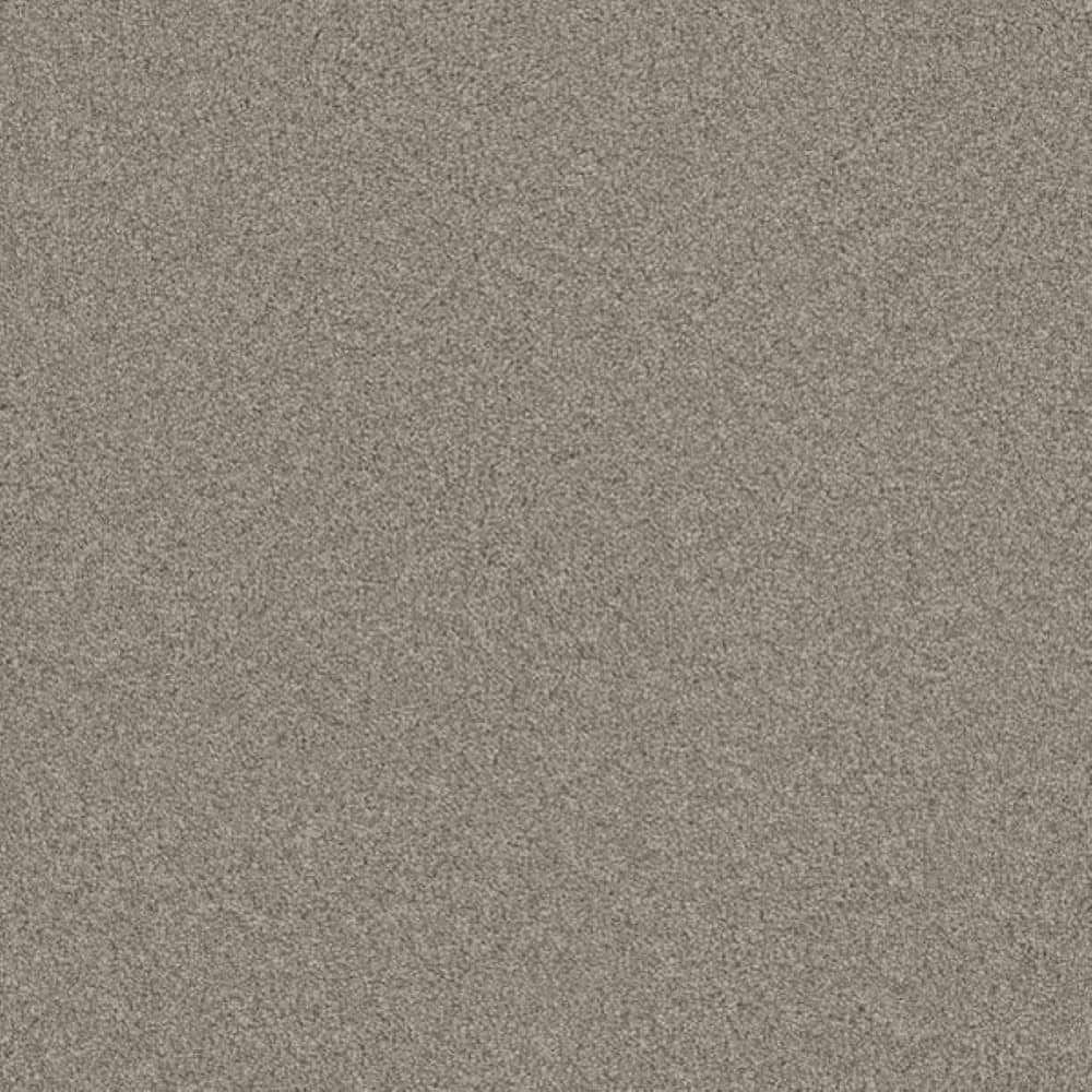 8 in. x 8 in. Texture Carpet Sample-Harpstring I-Color Nature price history on PriceWatchPro