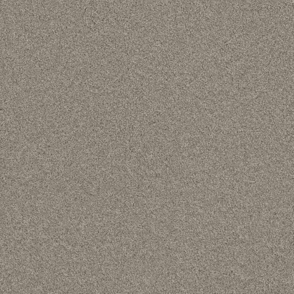 8 in. x 8 in. Texture Carpet Sample-Harpstring I-Color Nature