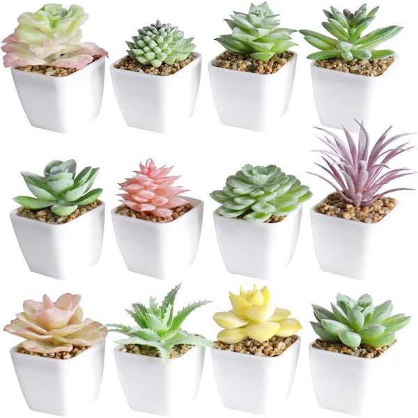 Unbranded 3 in. Multi-Colored Indoor Artificial Mini Succulents in White Pot (Set of 12)