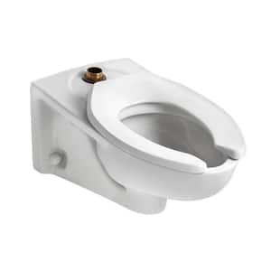 Afwall FloWise 1.28 GPF Elongated Toilet Bowl Only with Top Spud Flushometer in White