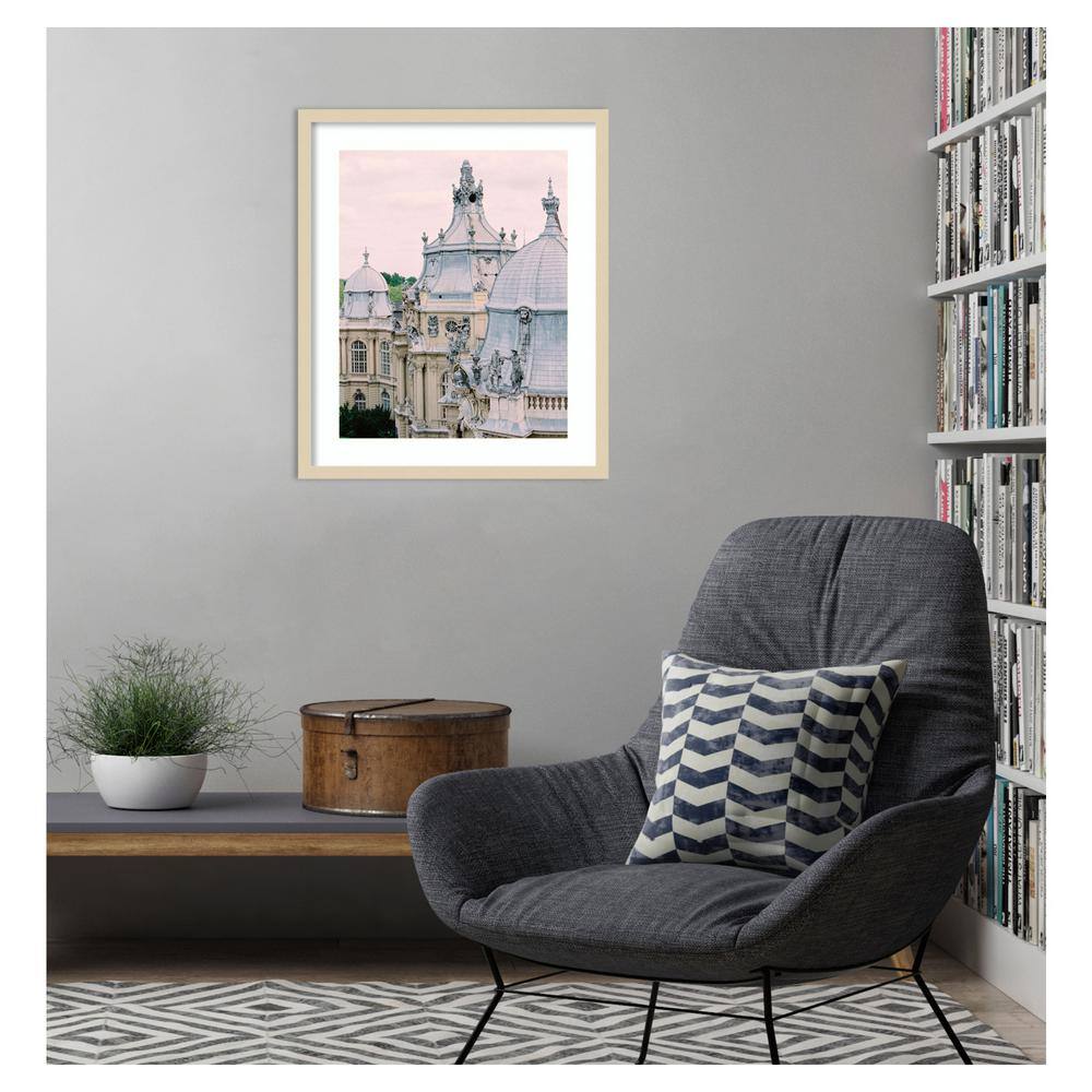 Paris Rooftops II Svelte Natural Framed Photography Print