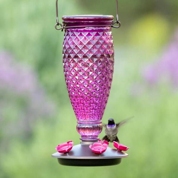 Decorative Glass Hummingbird Feeder Diamond Wine Top-Fill 24 oz Nectar Capacity 