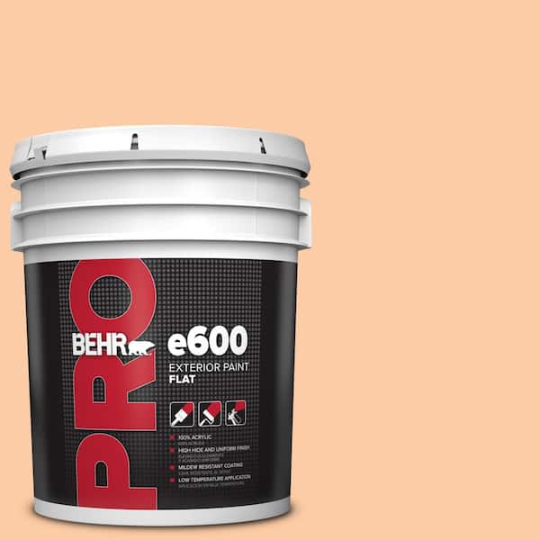 BEHR PRO 5 gal. #270C-3 Coral Confection Flat Exterior Paint