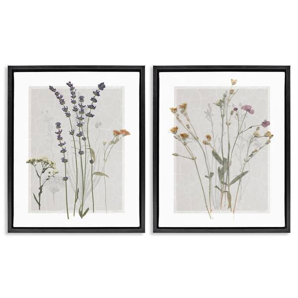 Delicate Wildflower Herb Sprigs by Carol Robinson 2 Piece Black Floater Frame Graphic Art Print Nature 25 in. x 31 in.