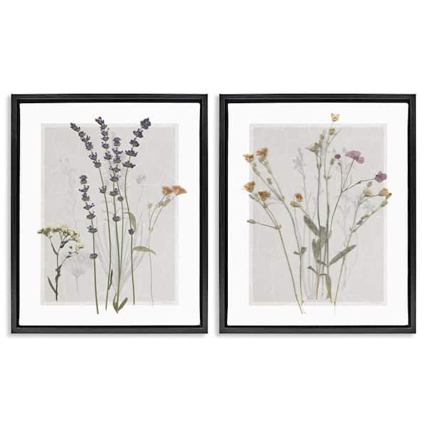 Delicate Wildflower Herb Sprigs by Carol Robinson 2 Piece Black Floater Frame Graphic Art Print Nature 17 in. x 21 in.