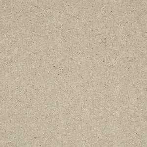 8 in. x 8 in. Texture Carpet Sample - Brave Soul II - Color Clay Bisque