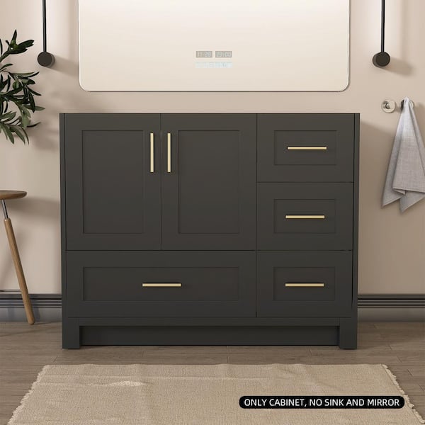 42 in. W x 21.5 in. D x 33.5 in. H Bath Vanity Cabinet without Top Bathroom Vanity Cabinet in Charcoal Gray Assembled