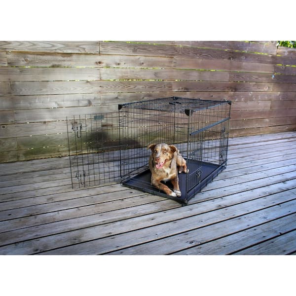 lucky dog sliding double door wire dog crate 36 inch