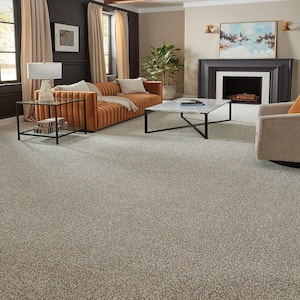 Household Hues II SandStone Beige 41 oz. Polyester Textured Installed Carpet