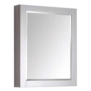 Transitional 24 in. W x 30 in. H Framed Rectangular Beveled Edge Bathroom Vanity Mirror in Gray