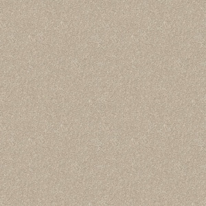 Watercolors I - Coconut - Beige 28.8 oz. Polyester Texture Installed Carpet