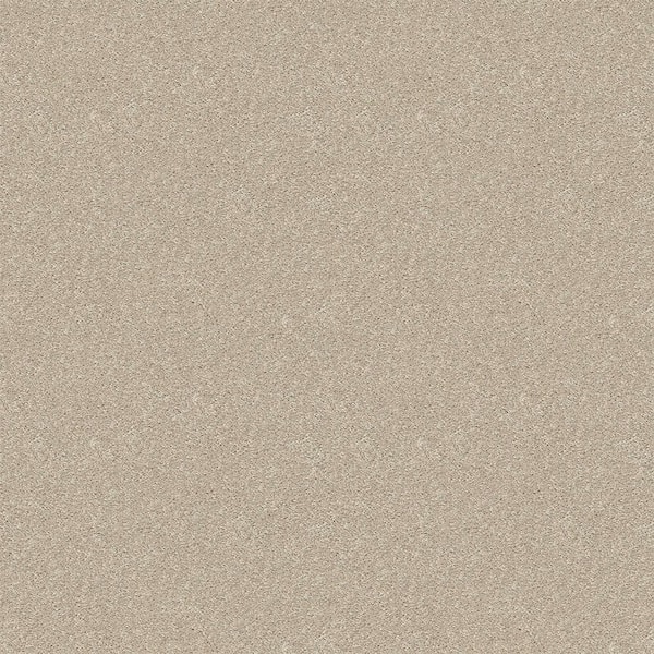 TrafficMaster Watercolors II - Coconut - Beige 38.4 oz. Polyester Texture Installed Carpet