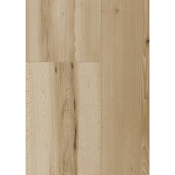 Home Decorators Collection Take Home Sample - Oceanside Beechwood Laminate Flooring - 5 in. x 7 in.