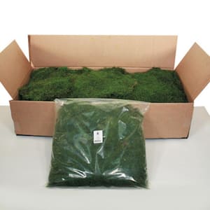 1.1 lbs. Bag of Green Preserved Sheet Moss