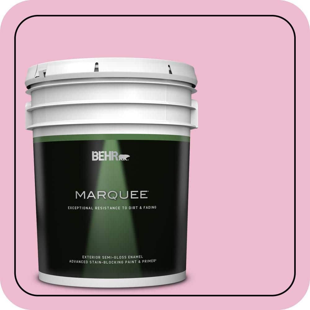 5 gal. #P130-2A Dainty Pink Semi-Gloss Enamel Exterior Paint & Primer price history on PriceWatchPro