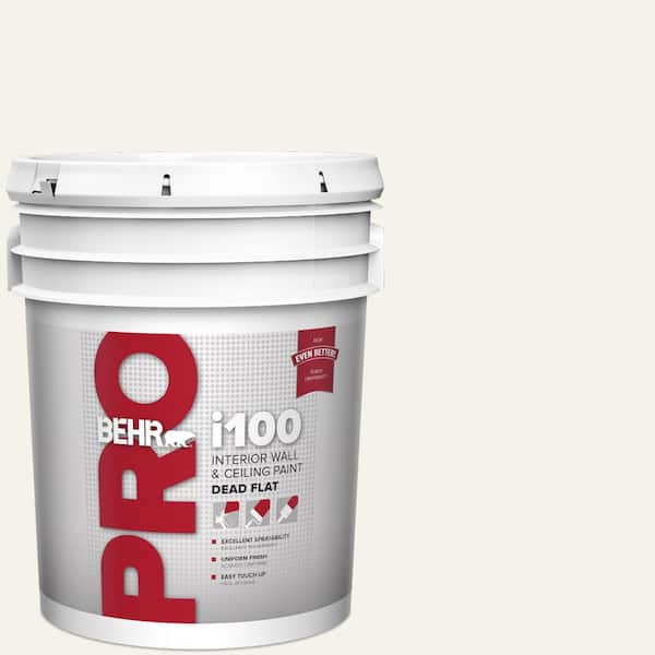 5 gal. #BWC-11 Fresh Popcorn Dead Flat Interior Paint