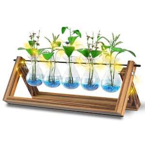 Large 16 in. White Glass Tabletop Plant Terrarium with Wooden Stand
