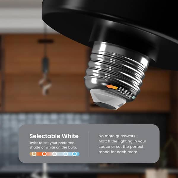 60-Watt Equivalent Dim Oversized Spiral Specialty Code E26 LED Light Bulb Matte Black Finish Frosted Selectable 1-Pack