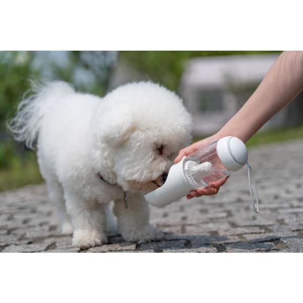 https://images.thdstatic.com/productImages/af78bd21-6d2c-4aac-ab41-c2926ed431ef/svn/pet-life-dog-drinking-fountains-water-dishes-s16wh-44_600.jpg