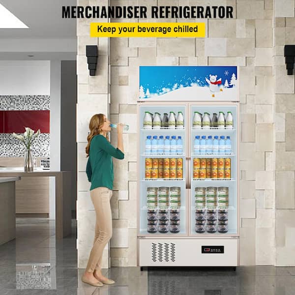 23 cu. ft. Commercial Refrigerator Upright Beverage Cooler with Glass Door and LED Light for Home Store Gym in Silver