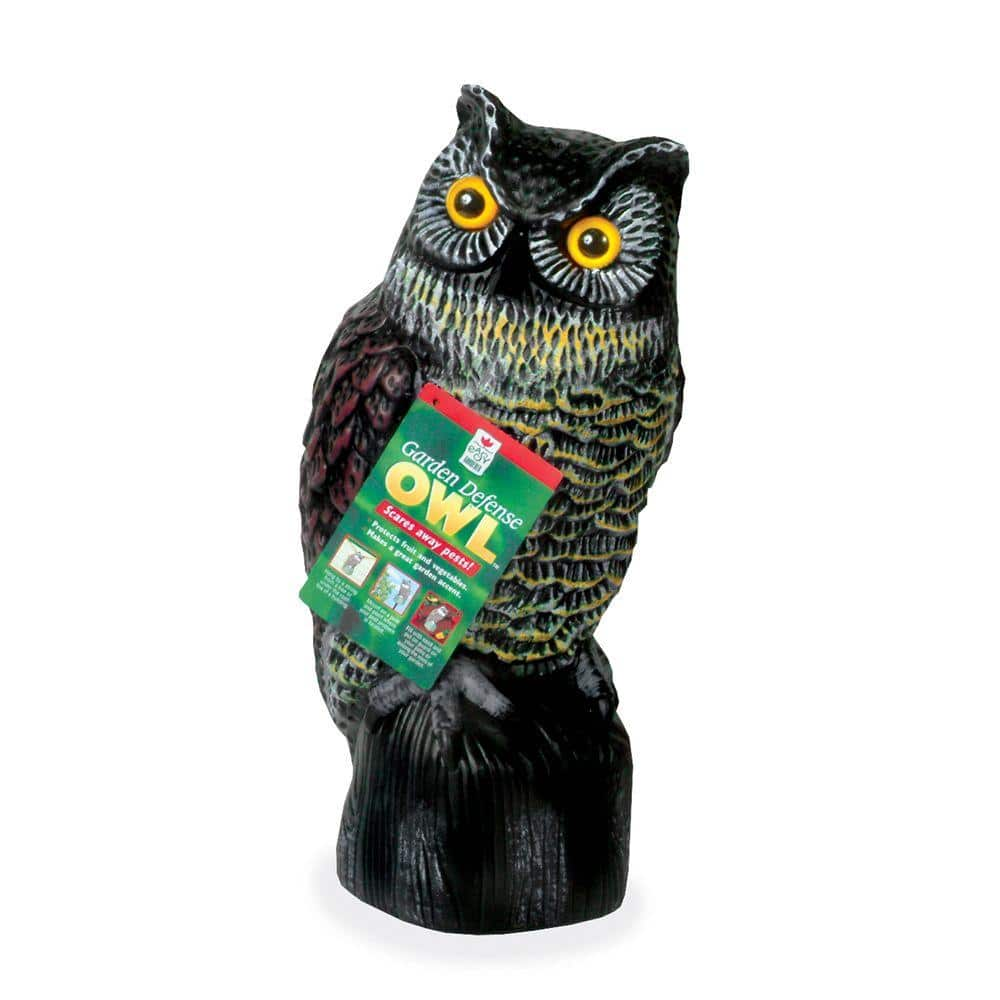 Easy Gardener Garden Defense Owl 8001 - The Home Depot