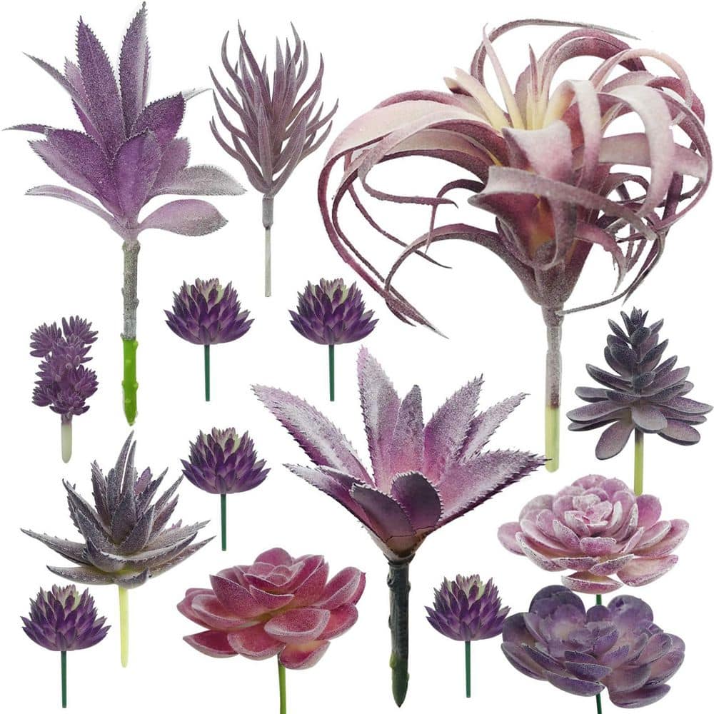 15 pcs Purple Artificial Succulent Plant Assortment Flocked Blue Indoor Outdoor Faux Mixed Plant Decor price history on PriceWatchPro
