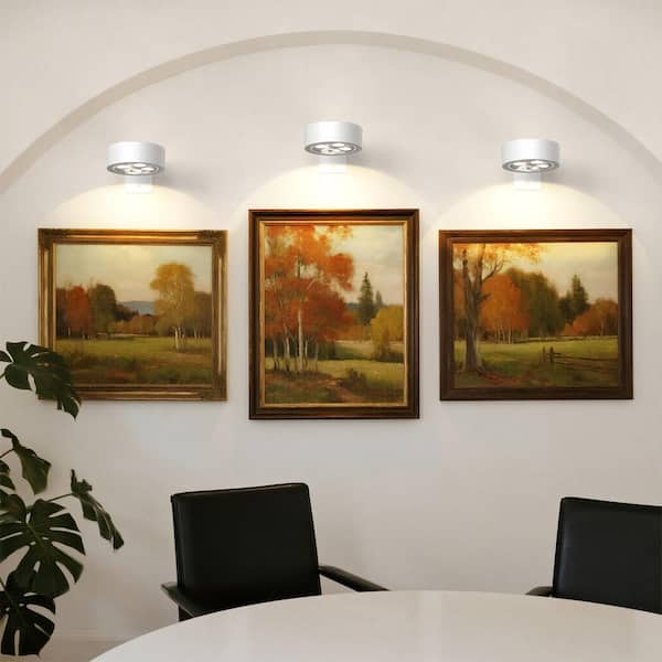 3 Pack White LED Picture Lights, Dimmable with Remote & Timer, 3 Color Temperature for Paintings, Portraits, Frames