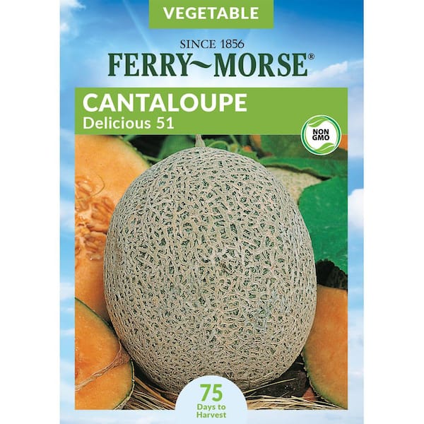 Ferry-Morse Cantaloupe Delicious 51 Seed
