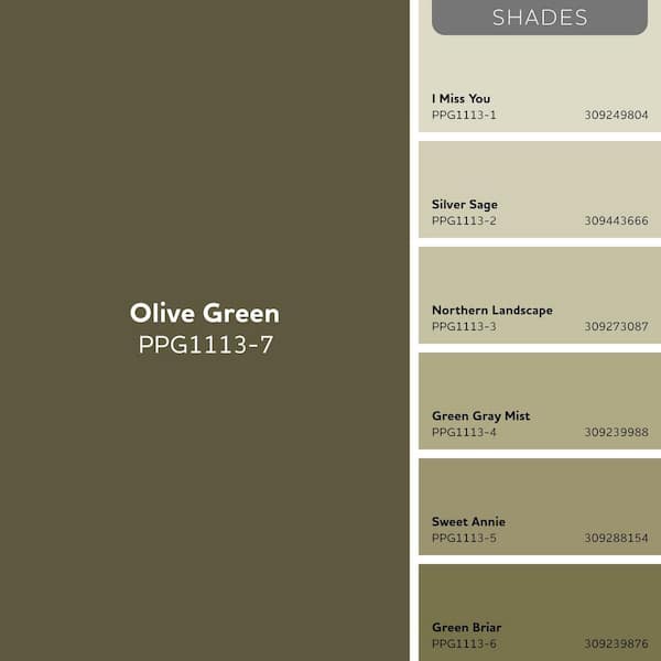 Glidden Essentials 1 gal. PPG1113-7 Olive Green Flat/Matte