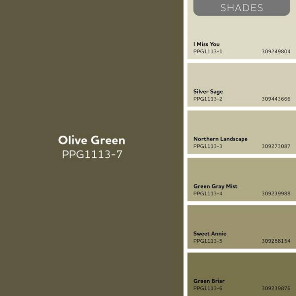BRUNT NOWONE 色　オリーブ Glidden Premium 1 qt. PPG1113-7 Olive Green Flat/Matte Interior