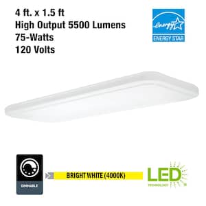 49 in. x 18 in. Rectangular Light Fixture LED Flush Mount High Output 5500 Lumens Stepped Acrylic Lens Kitchen Lighting