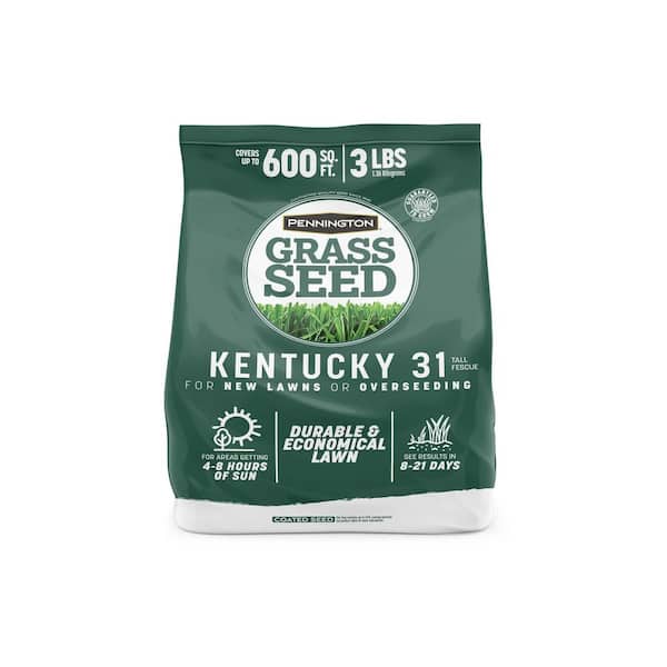 Kentucky 31 Tall Fescue 3 lb. 600 sq. ft. Grass Seed