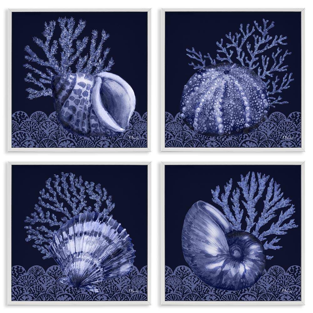 Indigo Nautical Seashells by Paul Brent 4-Pieces White Framed Coastal Giclee Art Print 12 in. x 12 in. price history on PriceWatchPro