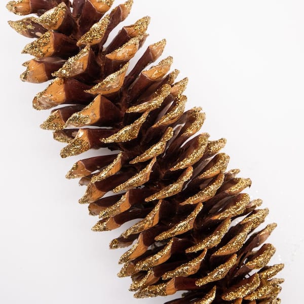 Bindle & Brass 12 in. Gold Sparkle Tip Dried Natural Sugar Pinecones (Set  of 4) BB35-102204 - The Home Depot
